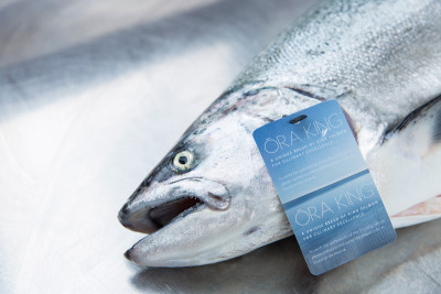 Whole Ora King Salmon for sale, wholesale seafood