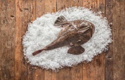 Gulf of Maine Sashimi Monkfish Tails distributed by Euclid Fish Company, wholesale seafood distributor in Mentor, Ohio